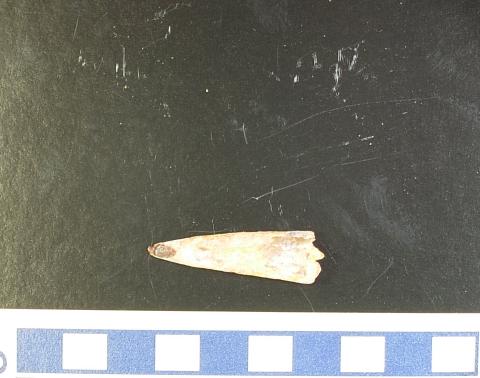 サイエンスミュージアム