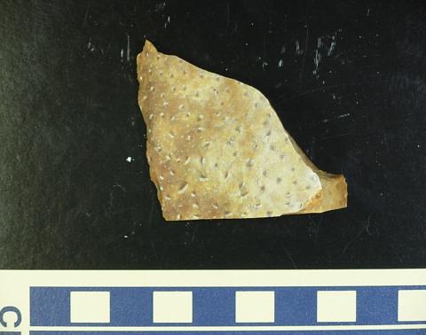 サイエンスミュージアム